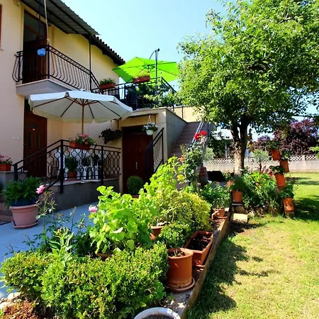 Fero With Beautiful Garden *
